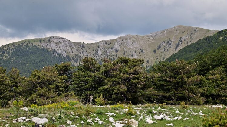 Στη σκιά του Φαλακρού: Ποτάμια, τεχνητές λίμνες και πλούσια Φύση
