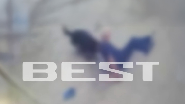 Η στιγμή που το ροτβάιλερ επιτίθεται στον ιδιοκτήτη του στην Καλαμάτα - Ο σκύλος τον έσερνε, τον δάγκωνε με μανία και τον τραυμάτισε σοβαρά
