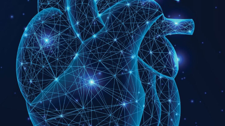 Καρδιακές βαλβίδες και σύγχρονες διακαθετηριακές τεχνικές