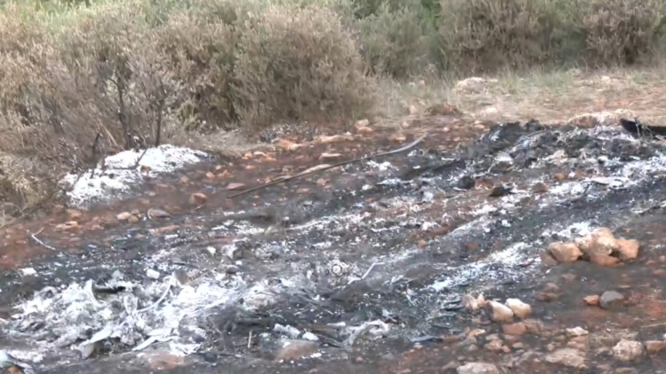 Σκούρτα Βοιωτίας: Η απανθρακωμένη σορός ήταν στο σημείο τουλάχιστον δύο 24ωρα πριν την εντοπίσουν, δύσκολη ακόμα και η ταυτοποίηση
