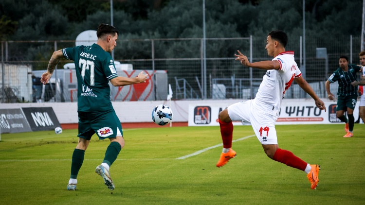 Λεβαδειακός - Πανσερραϊκός 5-1 (B' ημίχρονο), Live η αναμέτρηση - Δείτε τα γκολ
