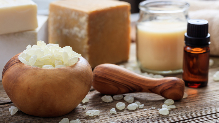 Μαστίχα Χίου: Προ των πυλών για Βραζιλία – Αισιοδοξία για την παραγωγή και το βλέμμα σε νέες αγορές