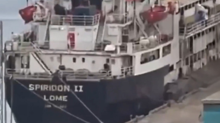 Περίπου 3.000 αγελάδες είναι εγκλωβισμένες σε φορτηγό πλοίο στα ανοιxτά της Τουρκίας