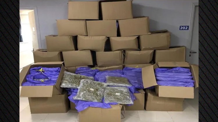 Εντοπίστηκαν πάνω από 350 κιλά κάνναβης σε νταλίκα στο λιμάνι της Ηγουμενίτσας - Συνελήφθη 58χρονος