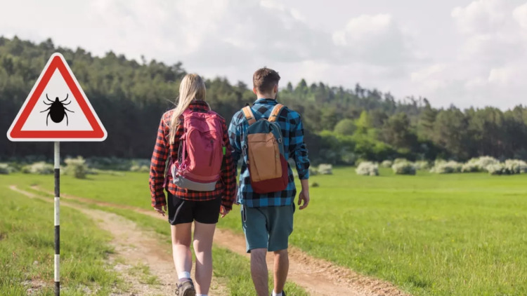 47χρονος πέθανε από αλλεργία στο κρέας – Την πυροδότησε τσίμπημα από τσιμπούρια
