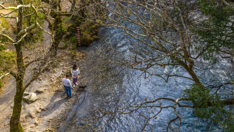
Απόδραση στη Φύση της Αρκαδίας -Ένας πλήρης οδηγός εμπειριών για το Μαίναλο 

