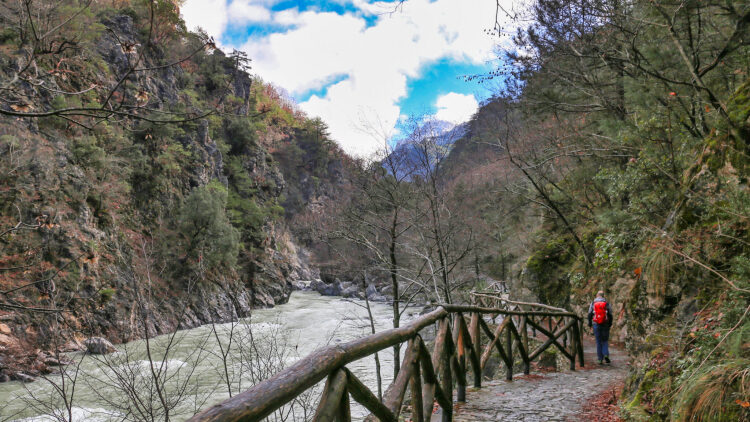 Χειμερινό ταξίδι στα ποτάμια της Ελλάδας
