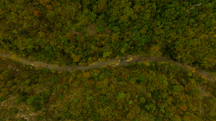 Πωγώνι: Οδηγός εμπειριών για τον προορισμό της Ηπείρου με την ανόθευτη ομορφιά
