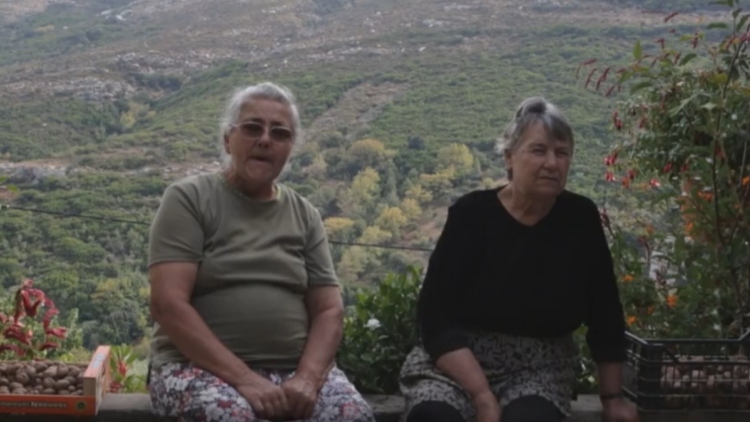 Το ελληνικό χωριό όπου οι κάτοικοι «μιλάνε» με σφυρίγματα, δείτε βίντεο