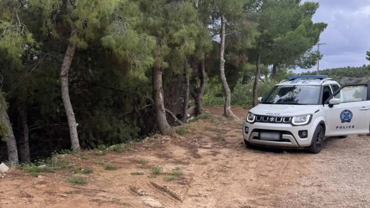 Σπέτσες: Συνέλαβαν οδηγό βυτιοφόρου για απόρριψη λυμάτων σε δασική περιοχή