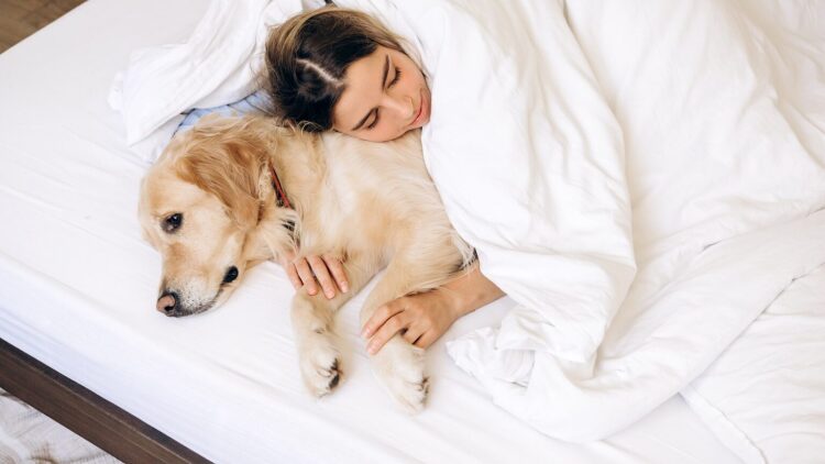 Δείτε αν είναι λάθος ή όχι να κοιμάται ο σκύλος μαζί μας στο κρεβάτι