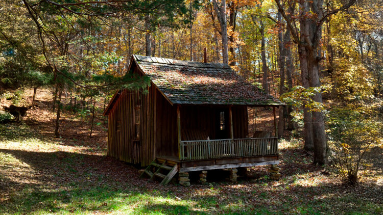 Ο ξυλουργός που αγόρασε ένα κομμάτι γης και έγινε εκατομμυριούχος με μια απλή ιδέα