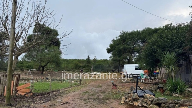 Τραγωδία στη Ζάκυνθο: Κλιμάκιο από την Πάτρα θα αποφασίσει αν θα θανατωθεί το πιτ μπουλ που κατασπάραξε τον δίχρονο