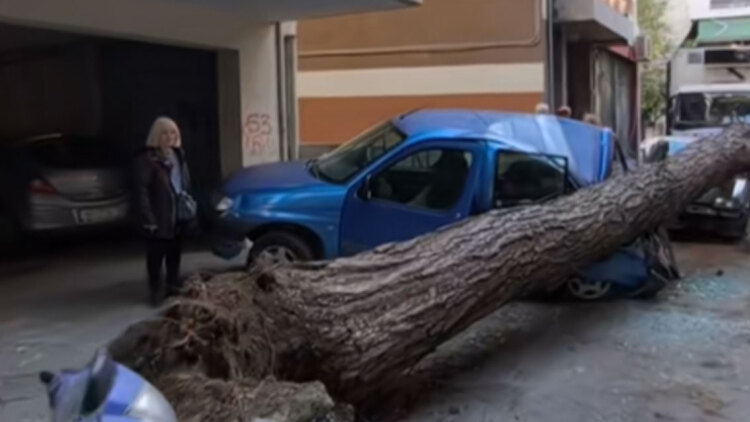 Πτώση δέντρου στη Θεσσαλονίκη προκάλεσε ζημιές σε σταθμευμένα αυτοκίνητα, δείτε βίντεο