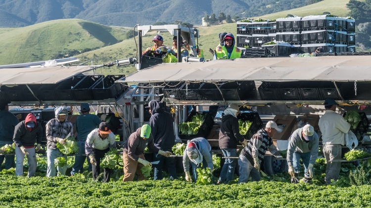 ΗΠΑ: Πακέτο στήριξης 12 δισ. δολαρίων ανακοίνωσε ο Τραμπ για τους αγρότες, είναι «απλά ένα σωσίβιο» απαντούν
