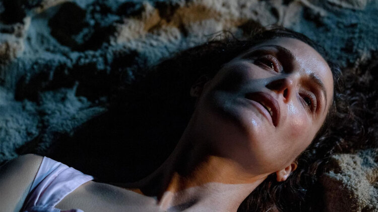 Ο οδηγός ταινιών του Δημήτρη Δανίκα