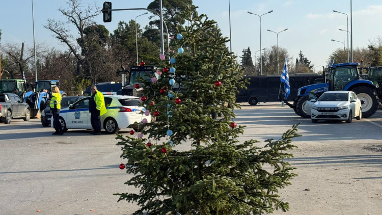 Στόλισαν έλατο από τον Ταξιάρχη οι αγρότες στα «Πράσινα Φανάρια»: «Θα μείνουμε και τα Χριστούγεννα εδώ» λένε, δείτε φωτογραφίες