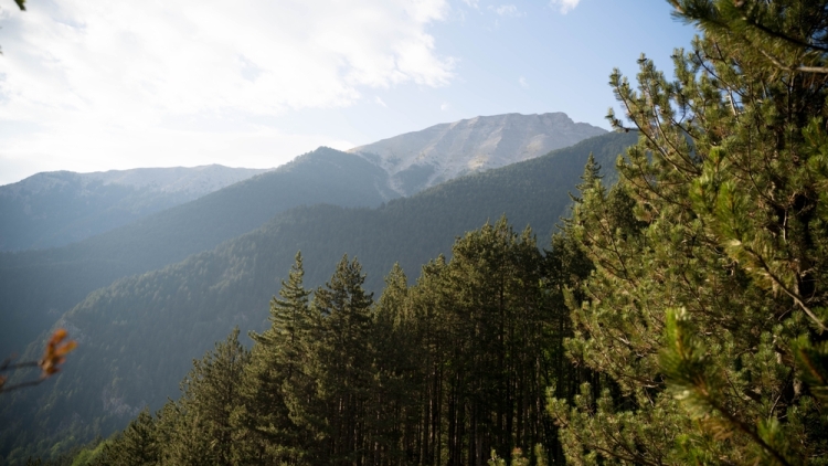 Παγκόσμια Ημέρα Βουνού: Ενισχύεται η προστασία τους με υπουργικές αποφάσεις του ΥΠΕΝ