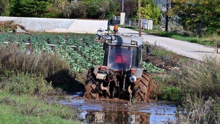 Παράταση για πληρωμή αγροτικών εισφορών και αποζημιώσεων από φυσικές καταστροφές