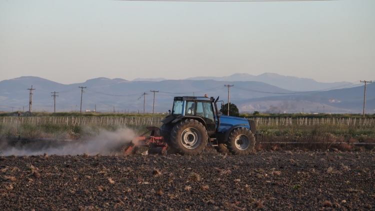 Σάλος στην εξεταστική για τις συλλήψεις στην Κρήτη: Συλληφθείς είναι κουμπάρος του Ανδρουλάκη, λέει ο Λαζαρίδης - Στέλεχος της ΝΔ ο αρχηγός, λέει η Αποστολάκη