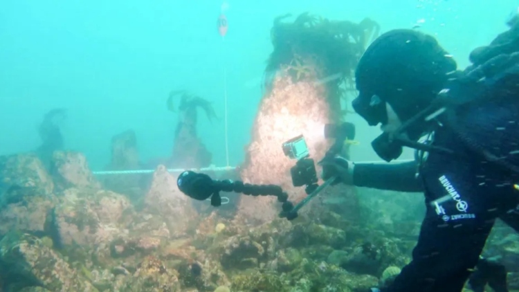 Τείχος 7.000 ετών που βρέθηκε στον βυθό της Βρετάνης ίσως εξηγεί τον μύθο της χαμένης πόλης