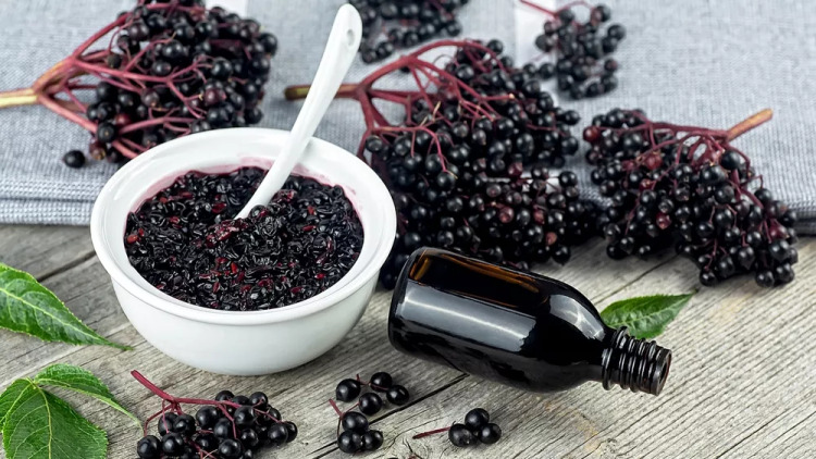 Το ξεχασμένο μούρο του χειμώνα που καταπολεμά γρήγορα και αποτελεσματικά το κοινό κρυολόγημα