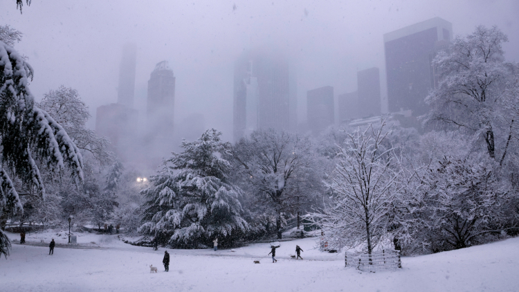 Μαγευτικές εικόνες από τη χιονισμένη Νέα Υόρκη, στα λευκά και το Central Park με εκατοντάδες κόσμου (βίντεο)