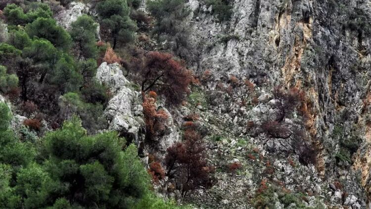 Ανθρώπινος σκελετός που ανήκει σε μια από τις δύο εξαφανισμένες Γαλλίδες τουρίστριες εντοπίστηκε στη Σίκινο