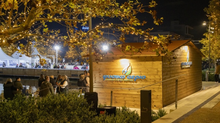 Ενέργεια, προσβασιμότητα και γιορτινή εμπειρία για όλους στη φετινή εορταστική περίοδο