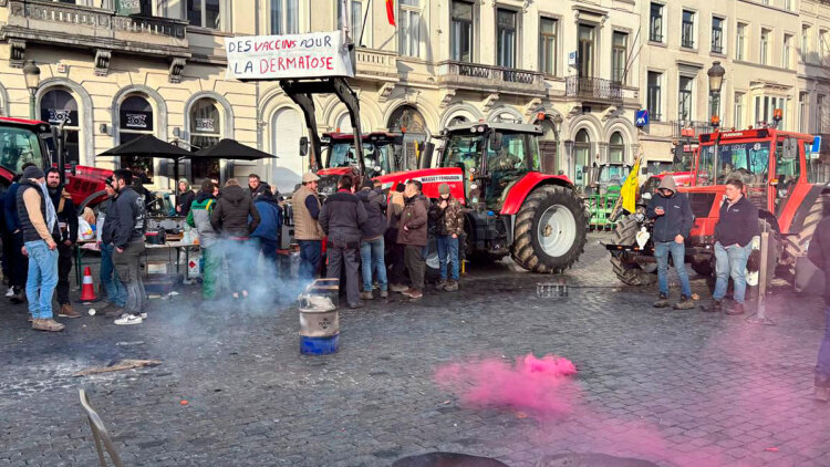 Χάος στις Βρυξέλλες: Φωτιές, καπνογόνα και δακρυγόνα στη συγκέντρωση των αγροτών μπροστά από το ευρωκοινοβούλιο, δείτε live