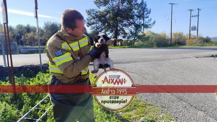 Εγκατέλειψαν κουτάβια δίπλα από αυλάκι στο Μεσολόγγι, τα έσωσε η Πυροσβεστική, δείτε βίντεο και φωτογραφίες