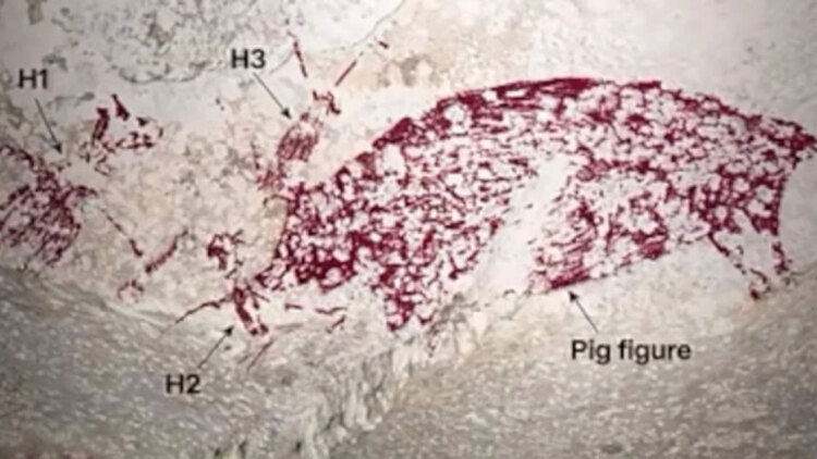 Η αρχαιολογική ανακάλυψη του αιώνα: Το έργο τέχνης 51.200 ετών που αλλάζει όσα ξέραμε για την ανθρωπότητα