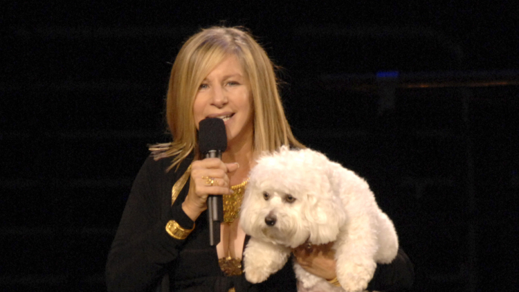 Κλωνοποίηση κατοικίδιων: Από τη Μπάρμπρα Στρέιζαντ, τον Μιλέι και τον Τομ Μπρέιντι, σε μια βιομηχανία δισεκατομμυρίων