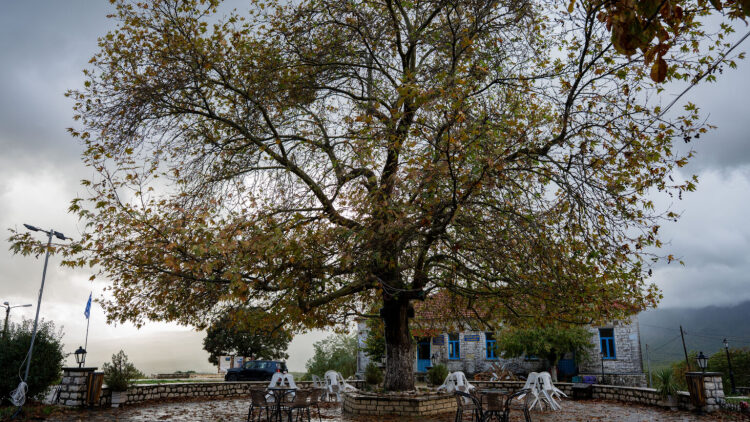 Αποστολή στο Πωγώνι -Κάτω Μερόπη: Επισκεφθήκαμε το καφενείο όπου χτυπά η καρδιά του χωριού