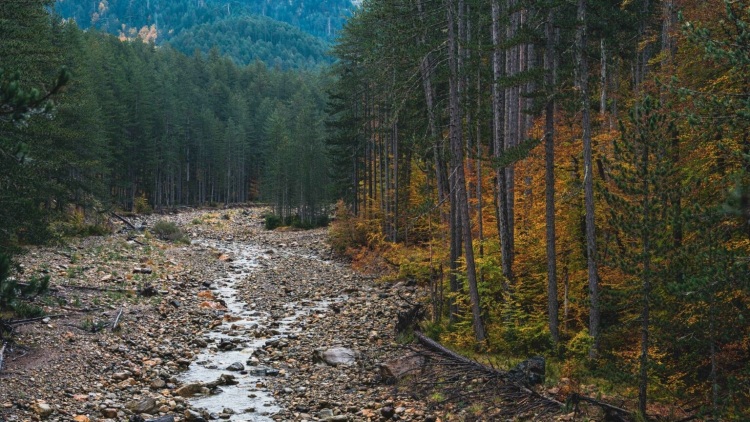 3 Road trip με αφετηρία τα Γρεβενά
