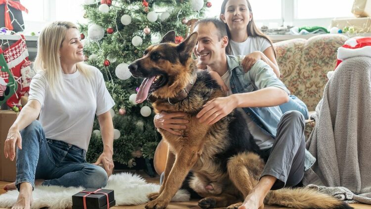 Τα πιο συνηθισμένα λάθη που κάνουμε στο χριστουγεννιάτικο πάρτι μας όταν έχουμε κατοικίδιο