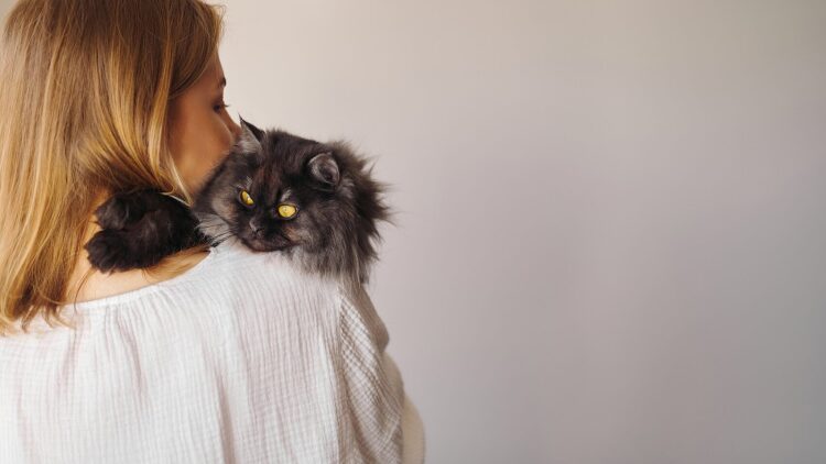 Ποιοι είναι οι λόγοι που η γάτα σας γλείφει και μασάει τα μαλλιά σας- Τι πρέπει να προσέξετε
