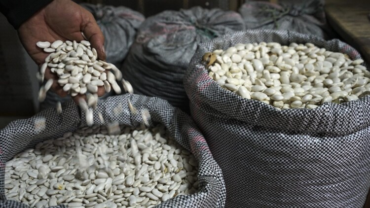 Λακκώματα: Μια διαδρομή στον τόπο όπου φυτρώνουν τα διάσημα φασόλια Καστοριάς
