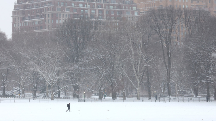 Σε κατάσταση έκτακτης ανάγκης η Νέα Υόρκη λόγω ισχυρής χιονοθύελλας, χάος σε πτήσεις, δρόμους και ηλεκτροδότηση