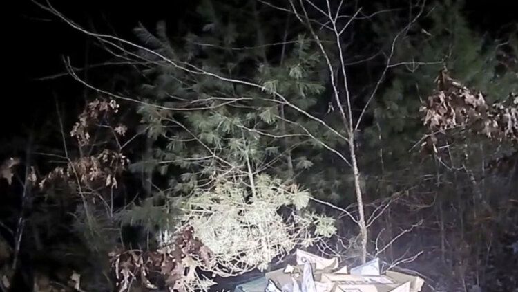 Δεκάδες δέματα με Χριστουγεννιάτικα δώρα βρέθηκαν πεταμένα σε δάσος
