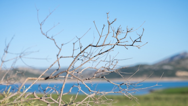 Zero Drop Μόρνος: Καμία σταγόνα νερού χαμένη