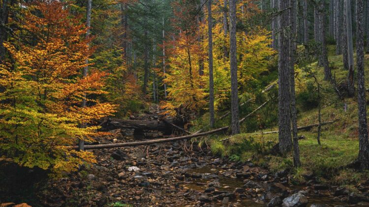 Βάλια Κάλντα: Eκεί όπου η Φύση ξυπνά τις αισθήσεις