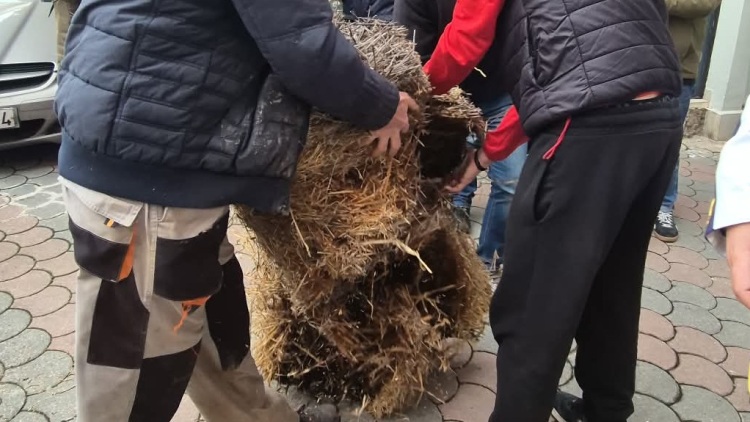 Στο κέντρο των Τρικάλων έφτασαν οι αγρότες με τα τρακτέρ, πέταξαν σανό σε γραφεία βουλευτών