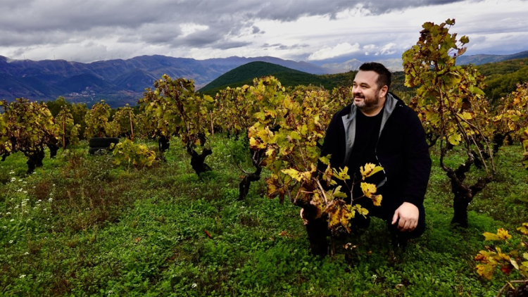 Ζίτσα: Το νέο μεγάλο πρότζεκτ του ευρηματικού οινοποιού Απόστολου Θυμιόπουλου