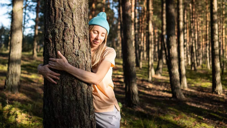 Γιατί αυξάνονται οι νέοι που αγκαλιάζουν δέντρα – Η μαρτυρία μιας 35χρονης θεραπεύτριας
