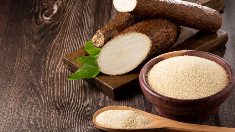 Τι είναι η ταπιόκα και πώς μπορούμε να τη χρησιμοποιήσουμε