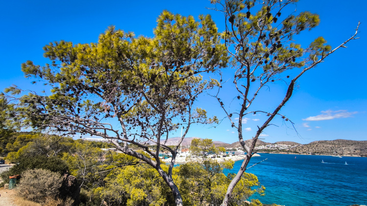 Καιρική ανασκόπηση 2025: 9 στους 12 μήνες είχαν θερμοκρασίες υψηλότερες από το κανονικό
