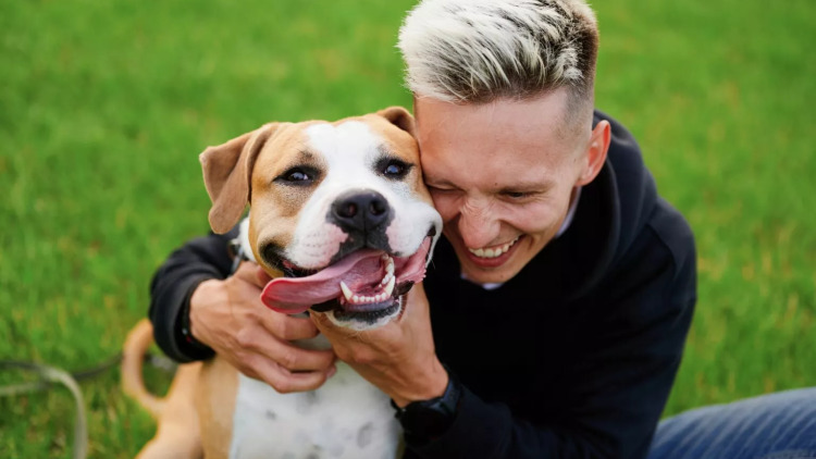 4 πράγματα που νομίζουμε ότι λατρεύει ο σκύλος, αλλά τον αγχώνουν