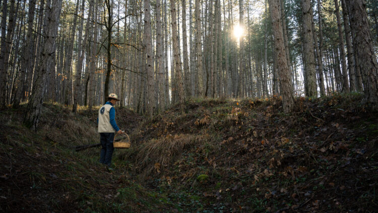 
Taste & Drive: Γαστρονομικό οδοιπορικό στα Γρεβενά, ανάμεσα σε βουνά και αυθεντικές γεύσεις