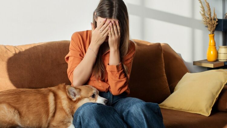 Μπορεί να καταλάβει ο σκύλος μας ότι κλαίμε; Με ποιους τρόπους θα αντιδράσει
